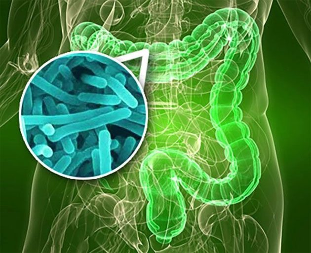 glifosato_mata El glifosato altera el microbioma intestinal, incluso en dosis "seguras"