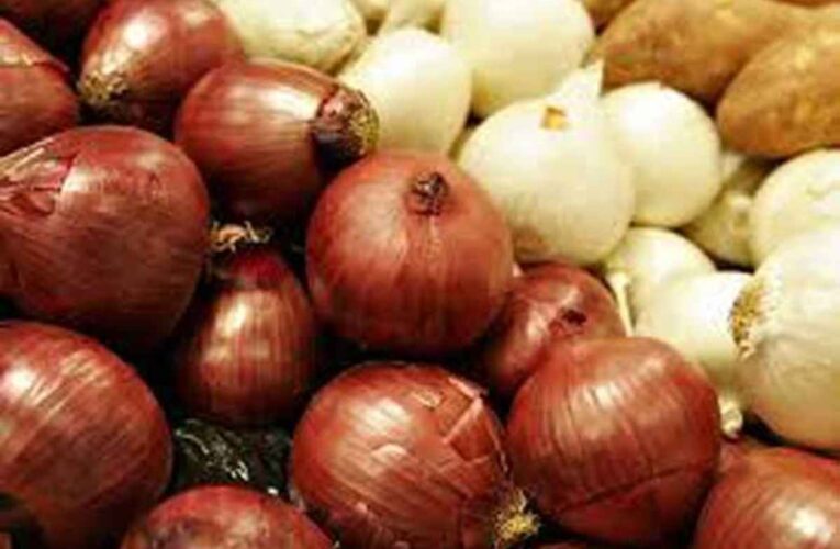 Beneficios para la salud del ajo, cebollas blancas y moradas