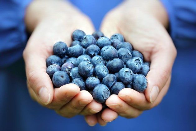 Efectos antioxidantes combinados de la nuez y el chokeberry