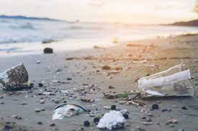 plastco_playa Impactos de la producción de plástico en la salud del suelo