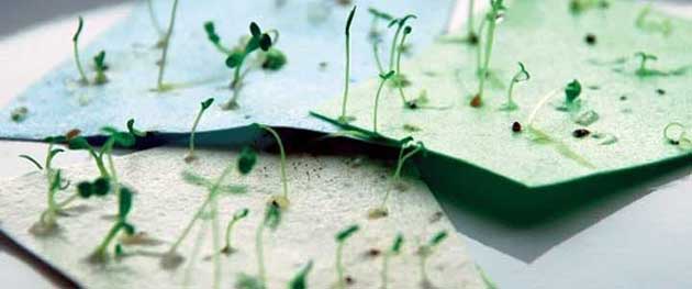 Cómo hacer papel con semillas que pueda convertirse en plantas para su jardín de supervivencia