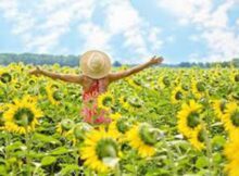 00 Girasoles como cultivarlos como alimento y medicina 00