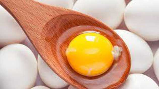 00 Huevos de gallinas libres y huevos de tiendas 00