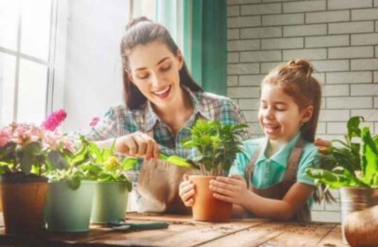 Jardinería doméstica: una guía detallada para cultivar verduras en interiores