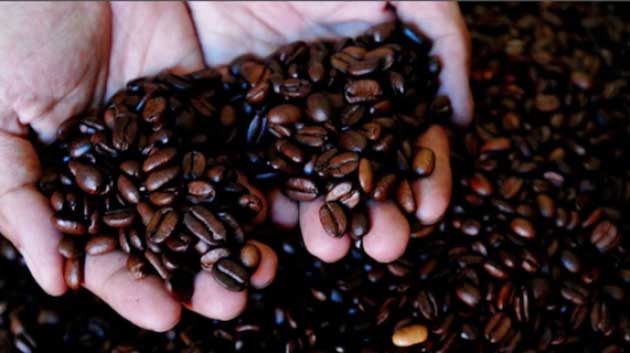 brasil_heladas Ha cosechado un 40 por ciento menos en grano de café