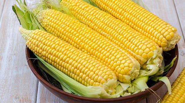 00 El maíz: cómo preparar este alimento de supervivencia 00