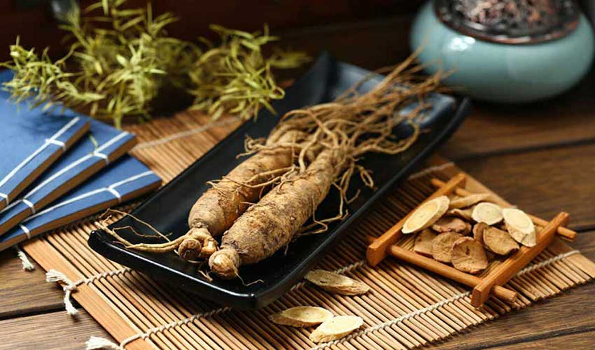 Investigadores consideran al ginseng como medicina natural para la obesidad