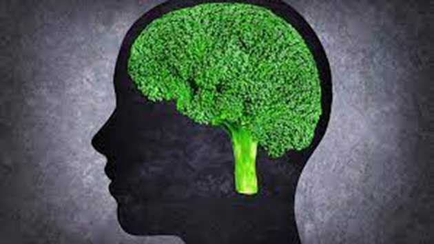 brocoli Brócoli: reparación del tejido nervioso dañado en el cerebro