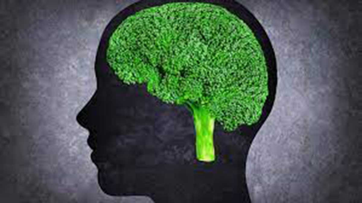 Brócoli: reparación del tejido nervioso dañado en el cerebro
