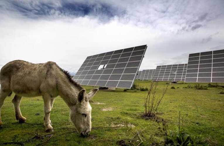 62.000 españoles ya están en quiebra tras invertir en placas solares