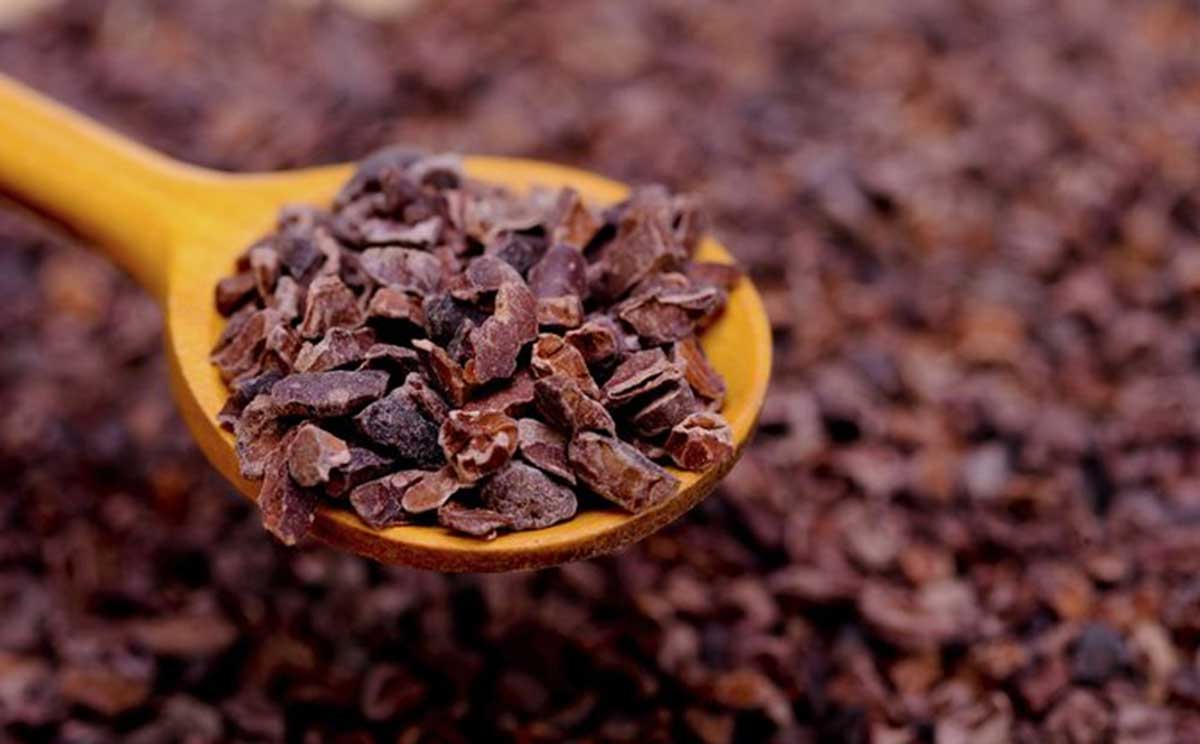 00 Nibs de cacao: superalimento con antioxidantes 00