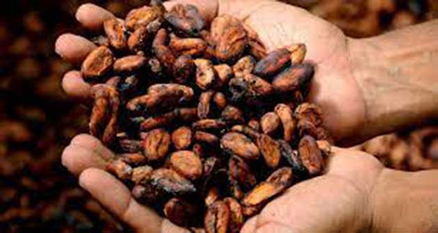 cacao_que Nibs de cacao: el último superalimento repleto de antioxidantes