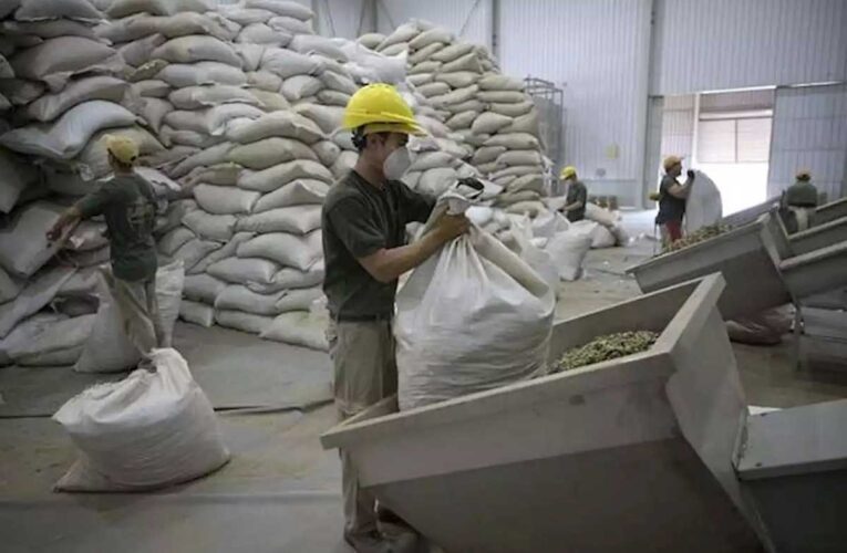 Argentina detiene todas las exportaciones de soja