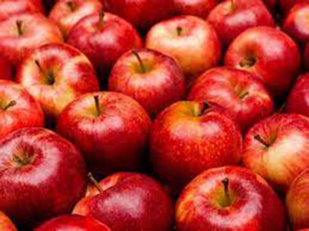 manzanas Producto químico utilizado en las manzanas: patógeno resistente a los medicamentos