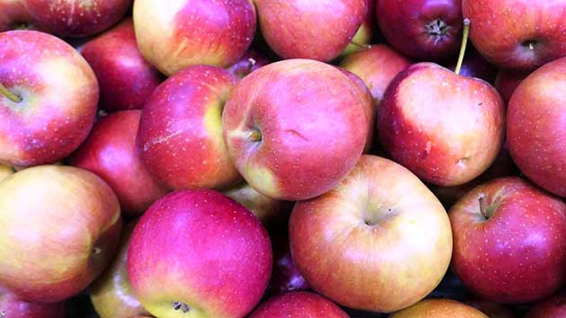 manzanas_patogenos Producto químico utilizado en las manzanas: patógeno resistente a los medicamentos