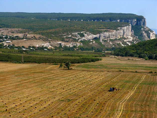 En marzo, el presidente de Ucrania, Volodymyr Zelensky, instó a los agricultores de todo el país a sembrar tantos campos