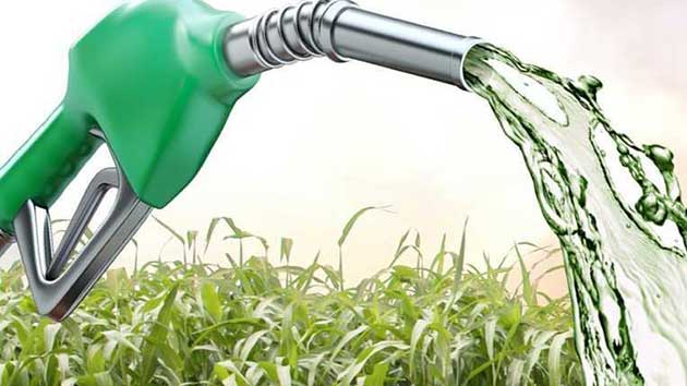 etanol_alterno El combustible etanol a base de maíz es peor para el medio ambiente que la gasolina regular