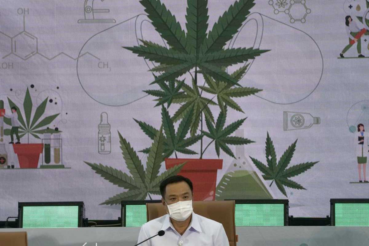 00 Medicina natural: Tailandia regala plantas cannabis 00