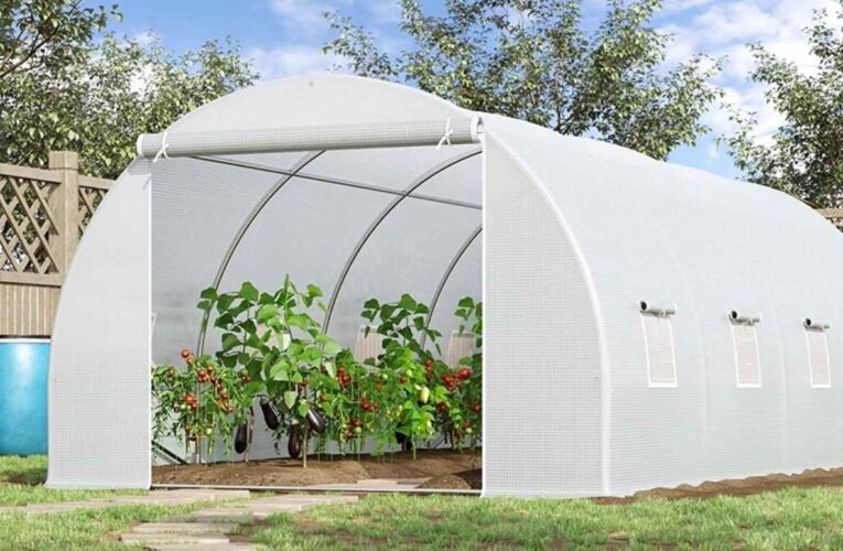 Cómo convertir un cobertizo de jardín en un invernadero