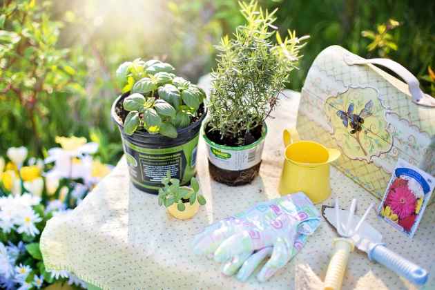 jardineria_novatos-1 6 trucos de jardinería para probar en el hogar