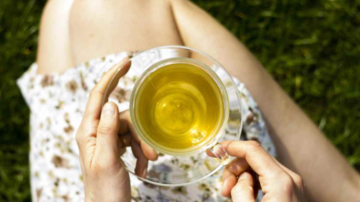 00 Té verde: beneficios científicamente probados 00