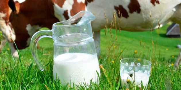 00 Proteína de suero de leche orgánica de calidad 00