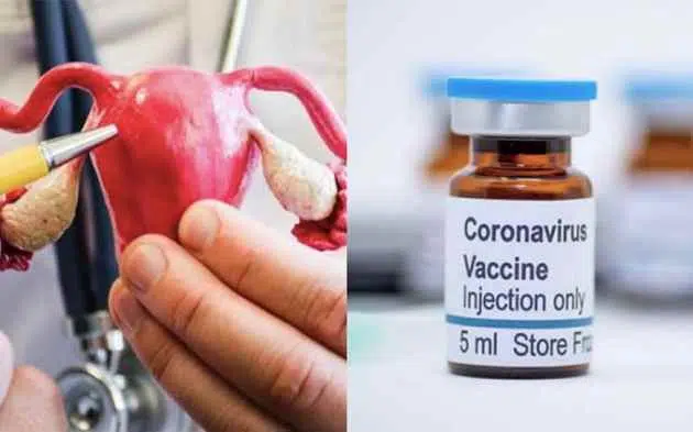 Orbes Argentina – Efectos de Bigtree: Vacunas Covid-19 Afectan Calendario - Imagen 2