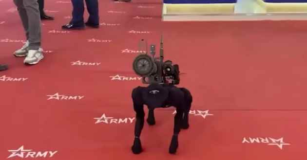 perro_arma Ejército ruso estrena perro robot con lanzagranadas atado a la espalda