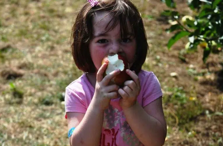 Bebés recién nacidos expuestos a pesticidas – Todo lo que debes saber