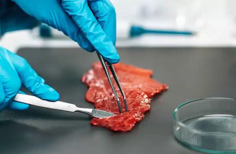 Empresa israelí produce carne impresa en 3D – Panorama completo