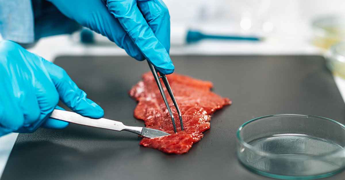 00 carne impresa en 3D por laboratorio israeli 00