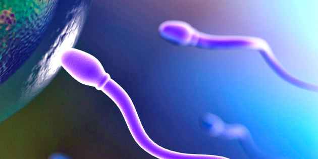 semen_estres La mitad de los hombres tendrán un recuento de espermatozoides de CERO para 2050