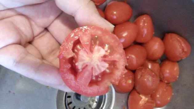 semillas_cultivo Consejos de jardinería en el hogar: semillas de tomate para sembrar