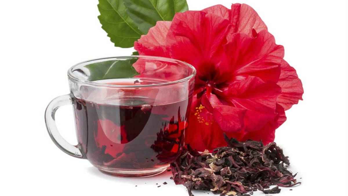 hojas-de-hibisco-beneficios-para-la-salud - 2023-04-03 - Hibisco
