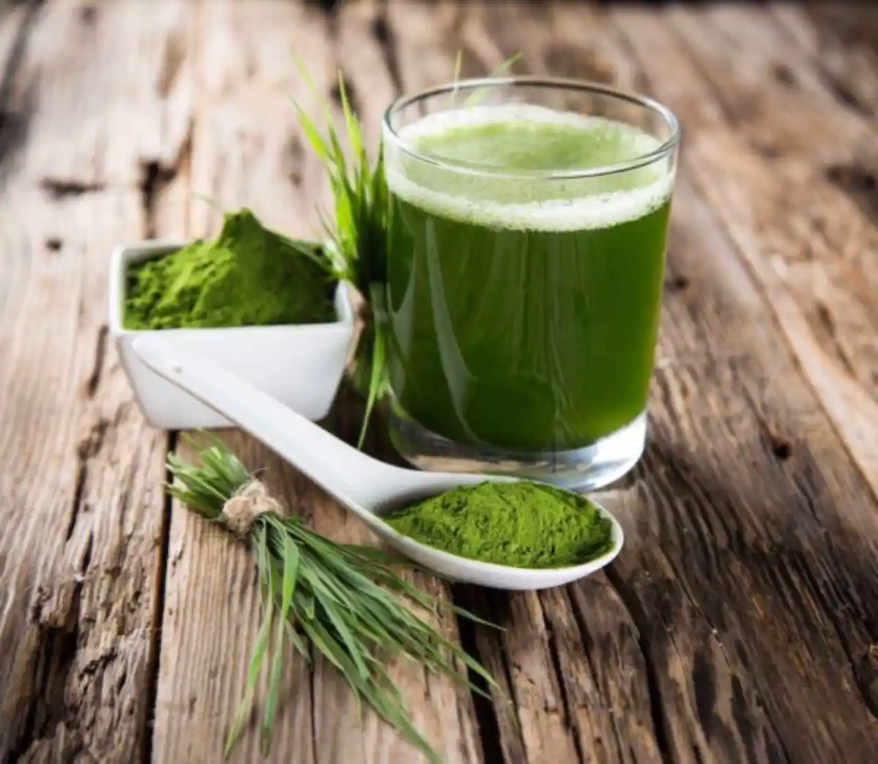 chlorella-acelera-la-excrecion-de-dioxinas - 2023-03-03 - Chiorella