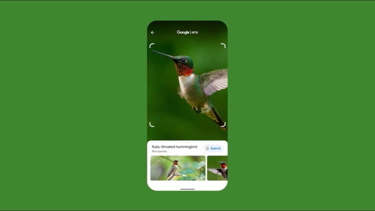 descubre-como-utilizar-google-lens-search - 2024-03-20 - Google Lens Search
