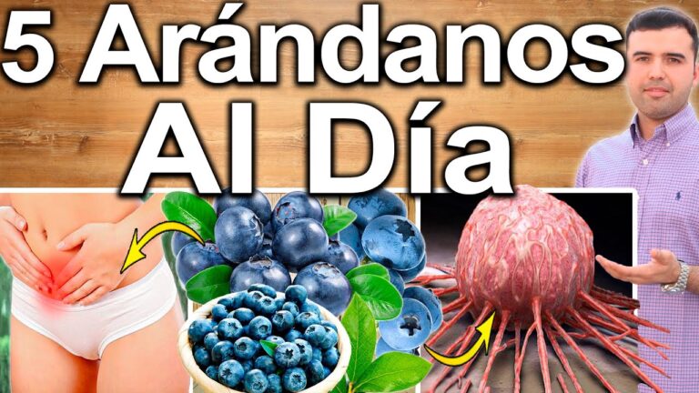 el-arandano-repleto-de-nutrientes-esenciales - 2024-06-08 - Arandano