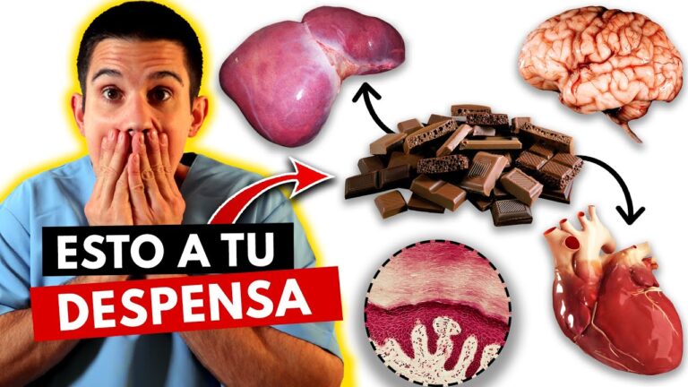 chocolate-negro-cuales-son-los-beneficios - 2024-06-22 - Chocolate Negro