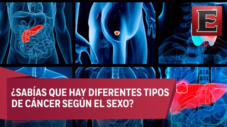 tipos-de-cancer-guia-sobre-las-variantes - 2024-08-16 - Tipos De Cancer
