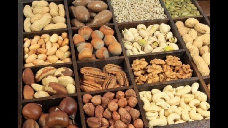 frutos-secos-fuentes-de-nutrientes-esenciales - 2024-08-20 - Frutos Secos