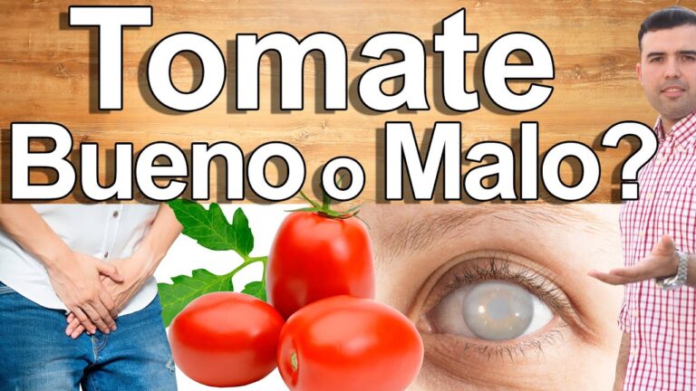tomate-variedades-y-recetas-deliciosas - 2024-08-09 - Tomate