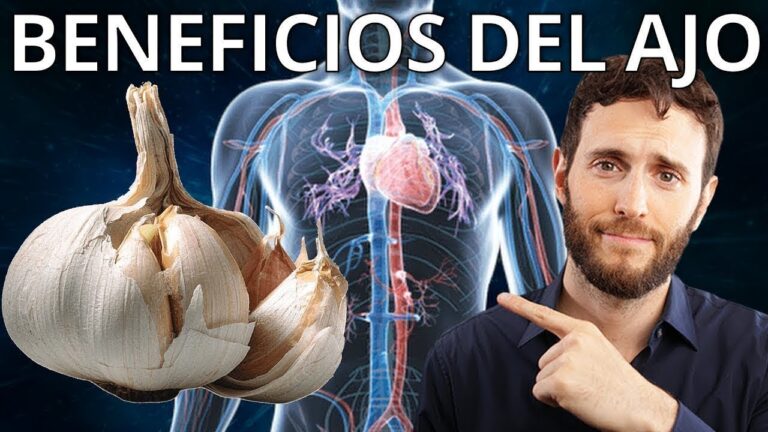 ajo-usos-culinarios-y-efectos-en-la-salud - 2024-10-01 - Ajo