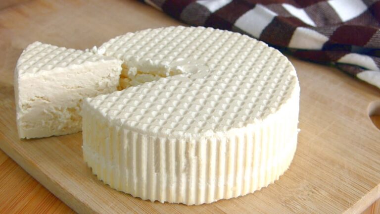 queso-tipos-beneficios-y-deliciosas-recetas - 2024-09-07 - Queso