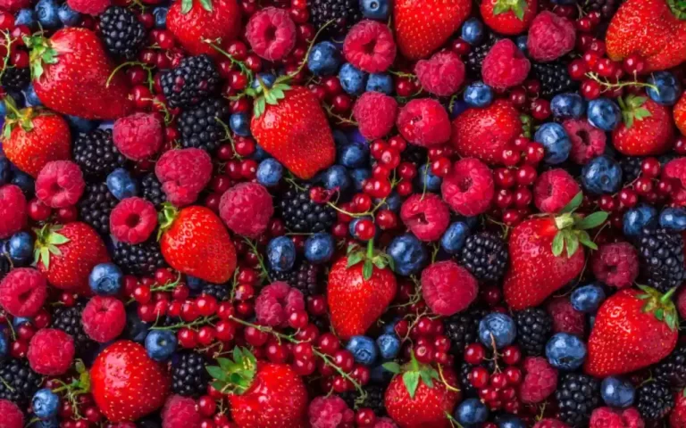 frutos-rojos-beneficios-variedades-y-recetas - 2024-09-15 - Rojos 1