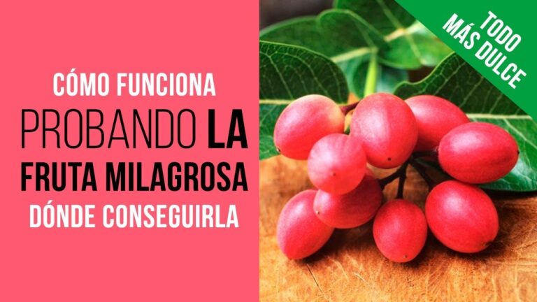 bayas-beneficios-tipos-y-recetas-deliciosas - 2024-10-30 - Bayas