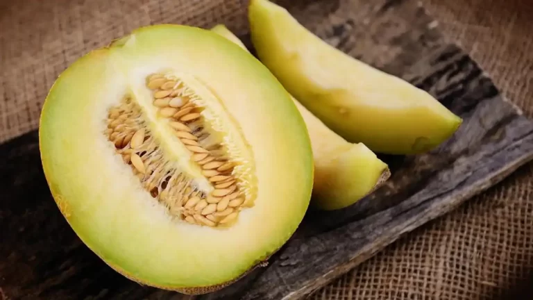 melon-beneficios-variedades-y-recetas - 2024-10-23 - Melon