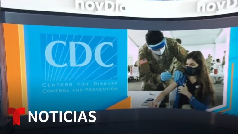 miocarditis-sintomas-causas-y-tratamientos - 2024-10-31 - Miocarditis