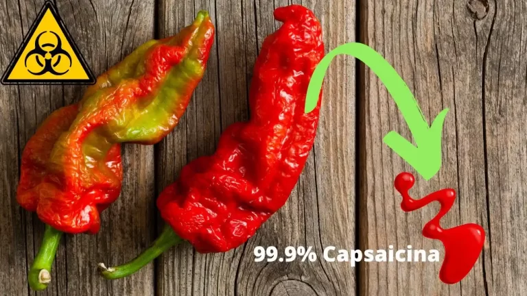 capsaicina-el-poder-terapeutico-del-picante - 2024-11-09 - 99 Porciento