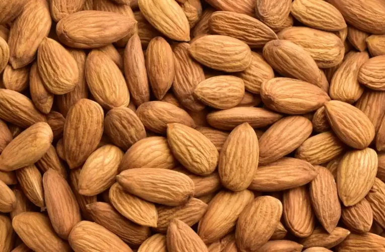 Almendras: Todo lo que Necesitas Saber para Incorporarlas a tu Dieta