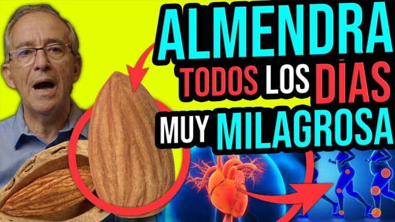 almendras-sus-beneficios-nutricionales - 2024-11-15 - Almendras